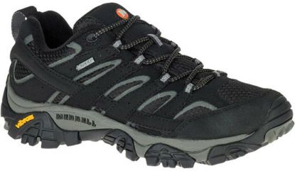 Picture of Moab 2 Gore-tex shoe